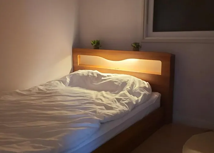 公寓 Comfortable 3-room In Namguro Station *